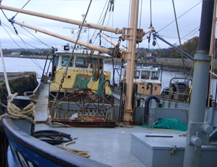 Mussel dredger